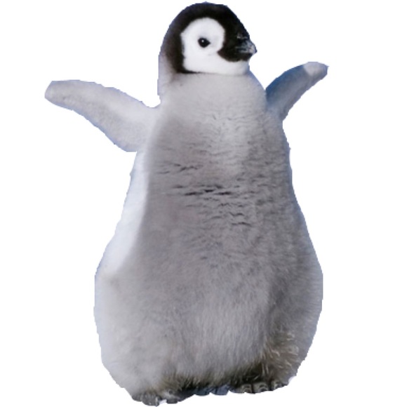 gonzoworm